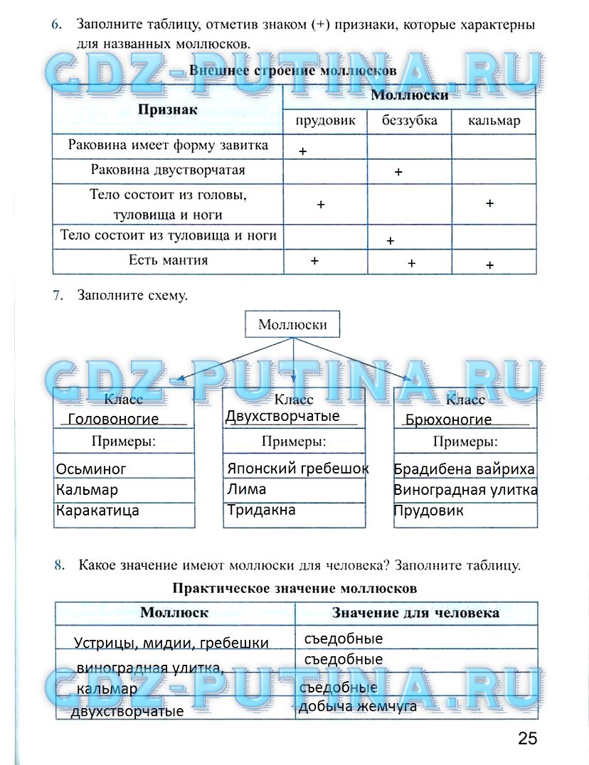 Рабочая тетрадь, 7 класс, Преображенская Н.В., 2011, задание: 25