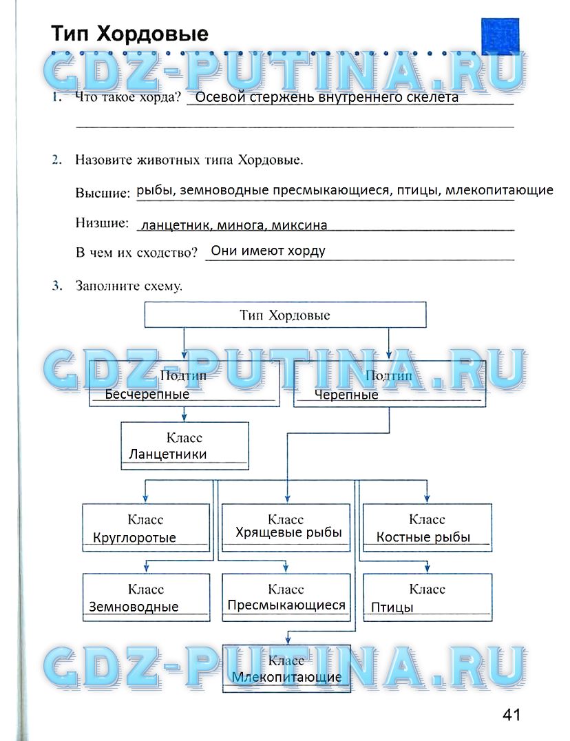 Рабочая тетрадь, 7 класс, Преображенская Н.В., 2011, задание: 41