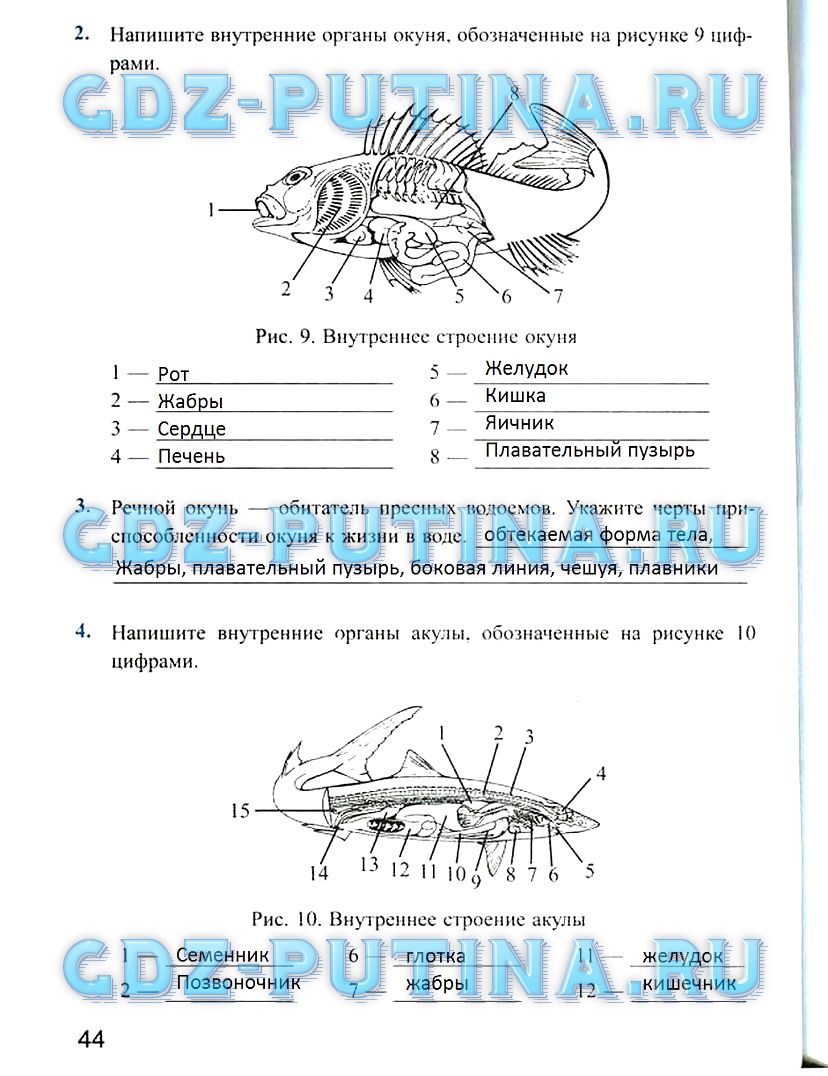 Рабочая тетрадь, 7 класс, Преображенская Н.В., 2011, задание: 44