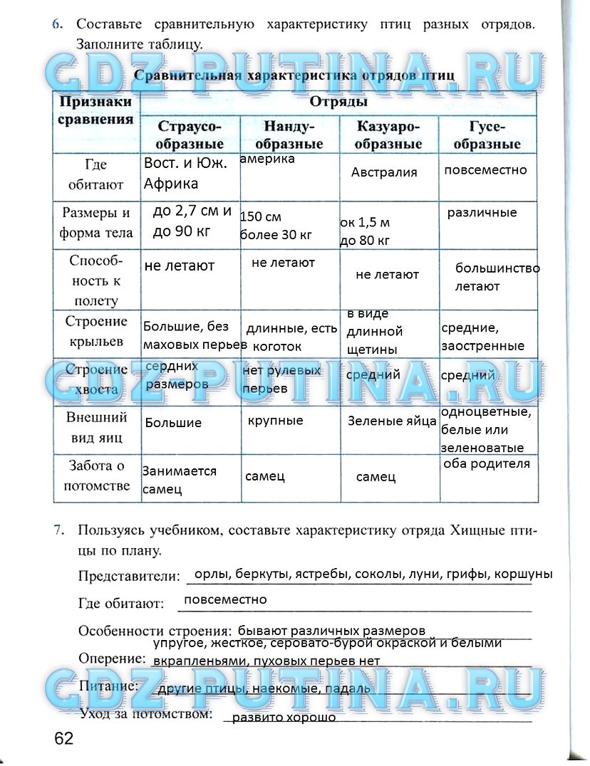 Рабочая тетрадь, 7 класс, Преображенская Н.В., 2011, задание: 62