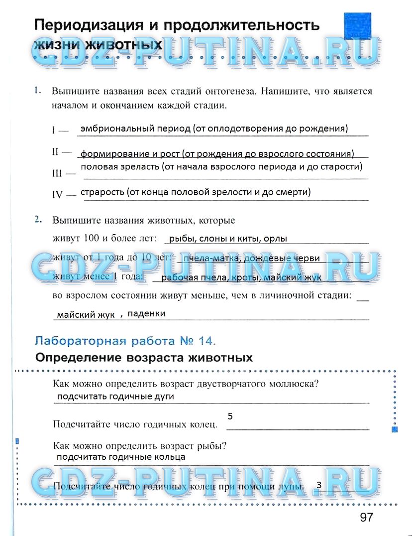 Рабочая тетрадь, 7 класс, Преображенская Н.В., 2011, задание: 97