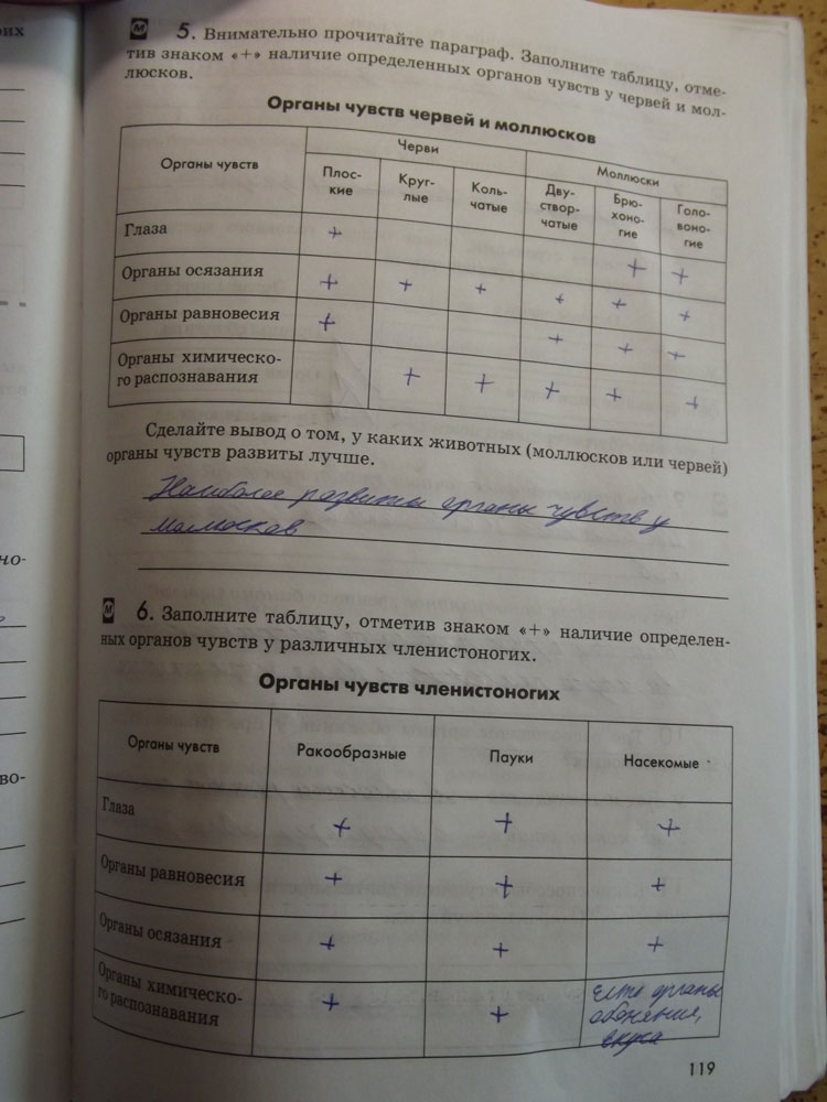 Рабочая тетрадь. Животные, 7 класс, Латюшин, Ламехова, Шапкин, 2016, задача: стр. 119