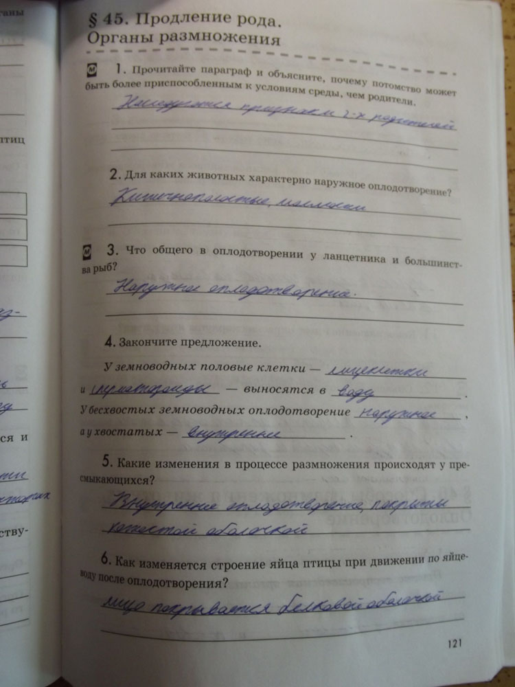 Рабочая тетрадь. Животные, 7 класс, Латюшин, Ламехова, Шапкин, 2016, задача: стр. 121