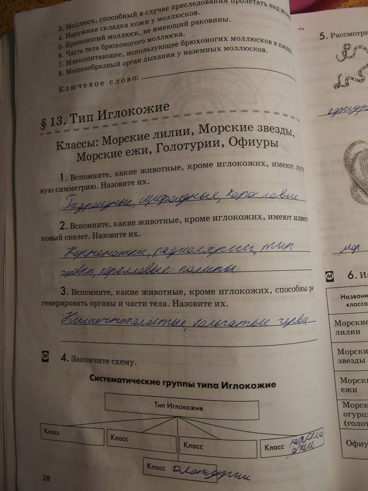 Рабочая тетрадь. Животные, 7 класс, Латюшин, Ламехова, Шапкин, 2016, задача: стр. 28