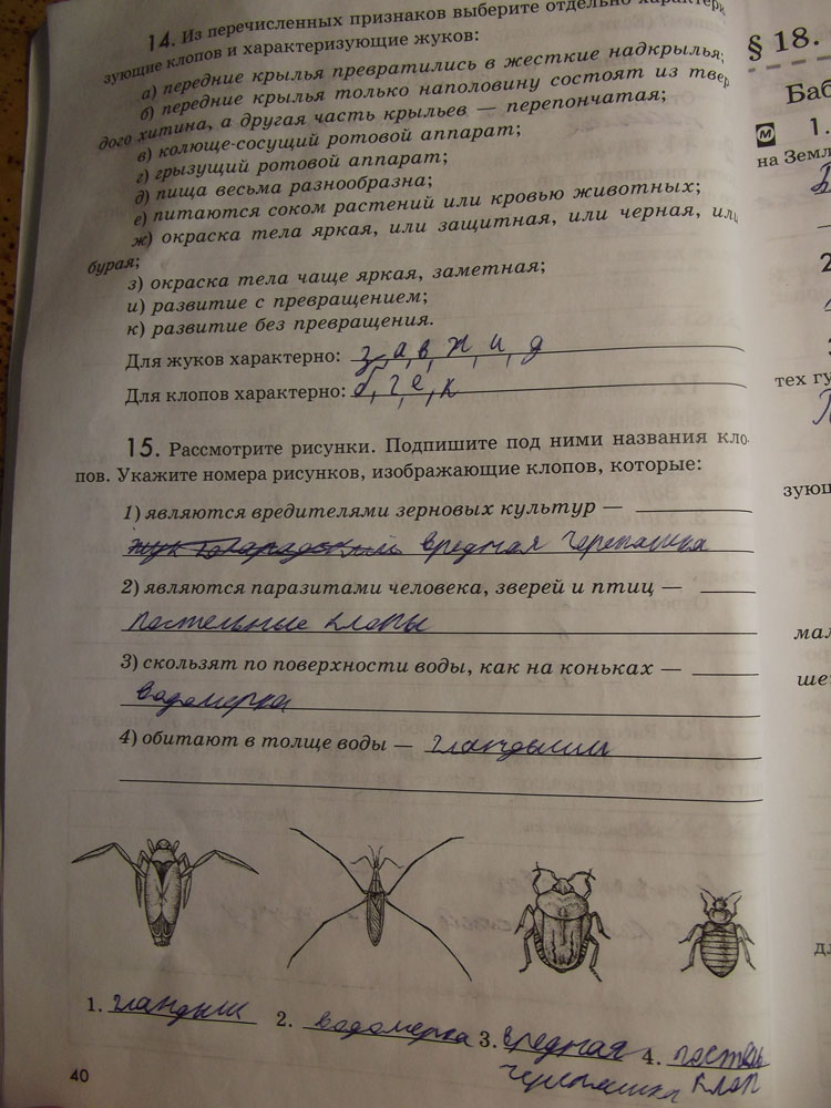 Рабочая тетрадь. Животные, 7 класс, Латюшин, Ламехова, Шапкин, 2016, задача: стр. 40