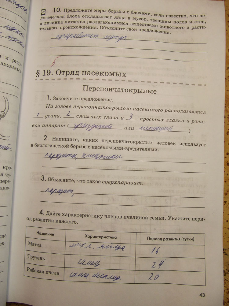 Рабочая тетрадь. Животные, 7 класс, Латюшин, Ламехова, Шапкин, 2016, задача: стр. 43
