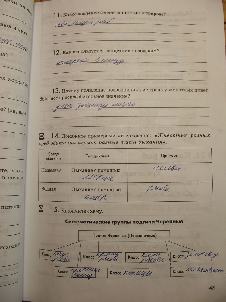 Рабочая тетрадь. Животные, 7 класс, Латюшин, Ламехова, Шапкин, 2016, задача: стр. 47