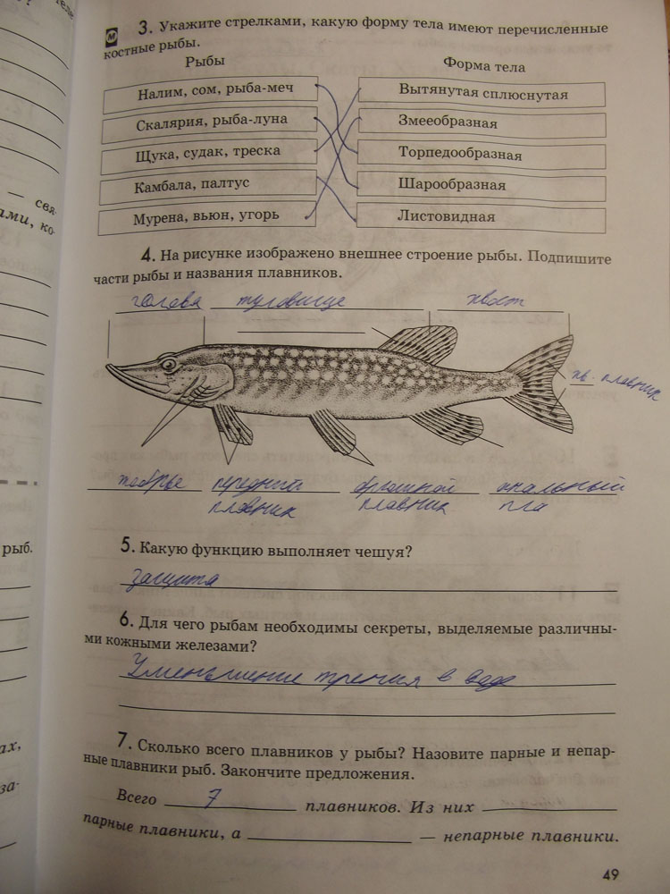 Рабочая тетрадь. Животные, 7 класс, Латюшин, Ламехова, Шапкин, 2016, задача: стр. 49