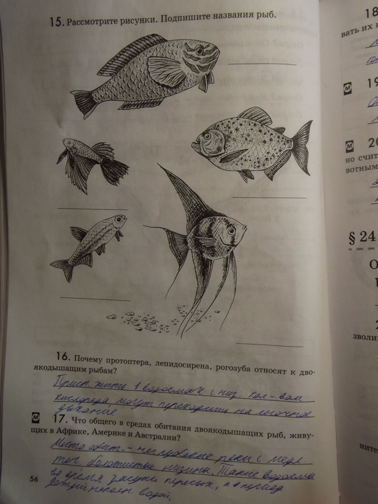 Рабочая тетрадь. Животные, 7 класс, Латюшин, Ламехова, Шапкин, 2016, задача: стр. 56