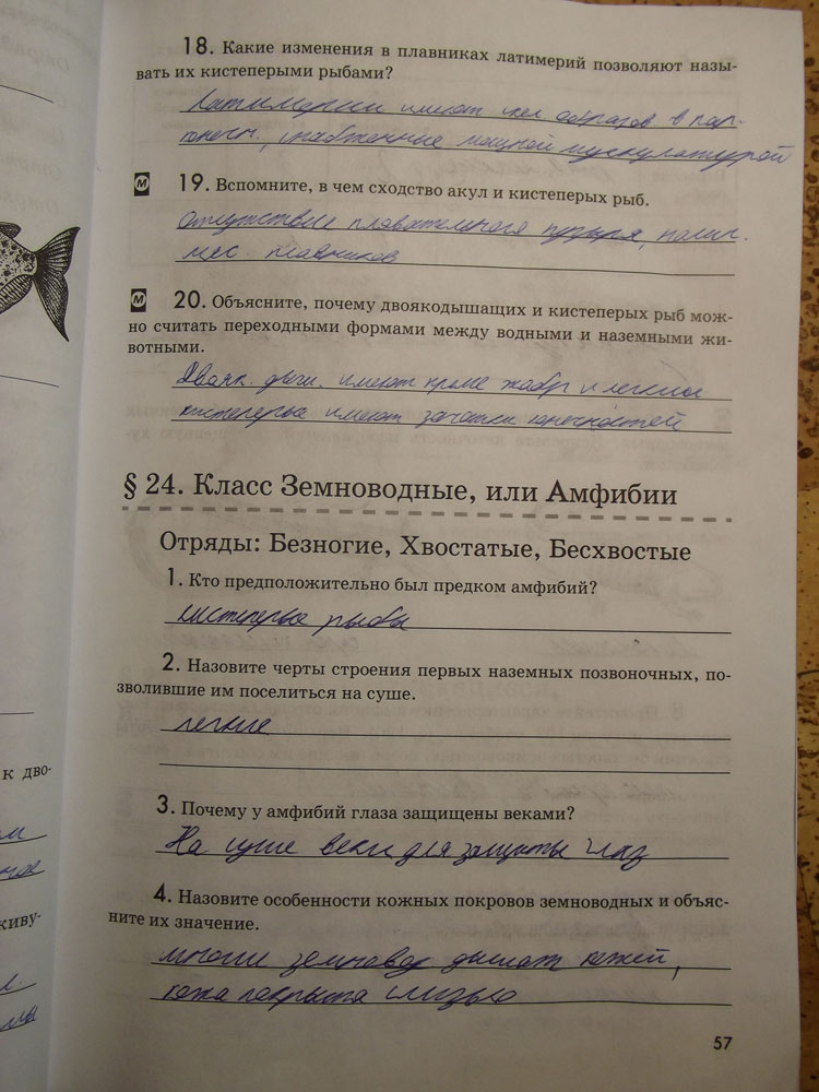 Рабочая тетрадь. Животные, 7 класс, Латюшин, Ламехова, Шапкин, 2016, задача: стр. 57