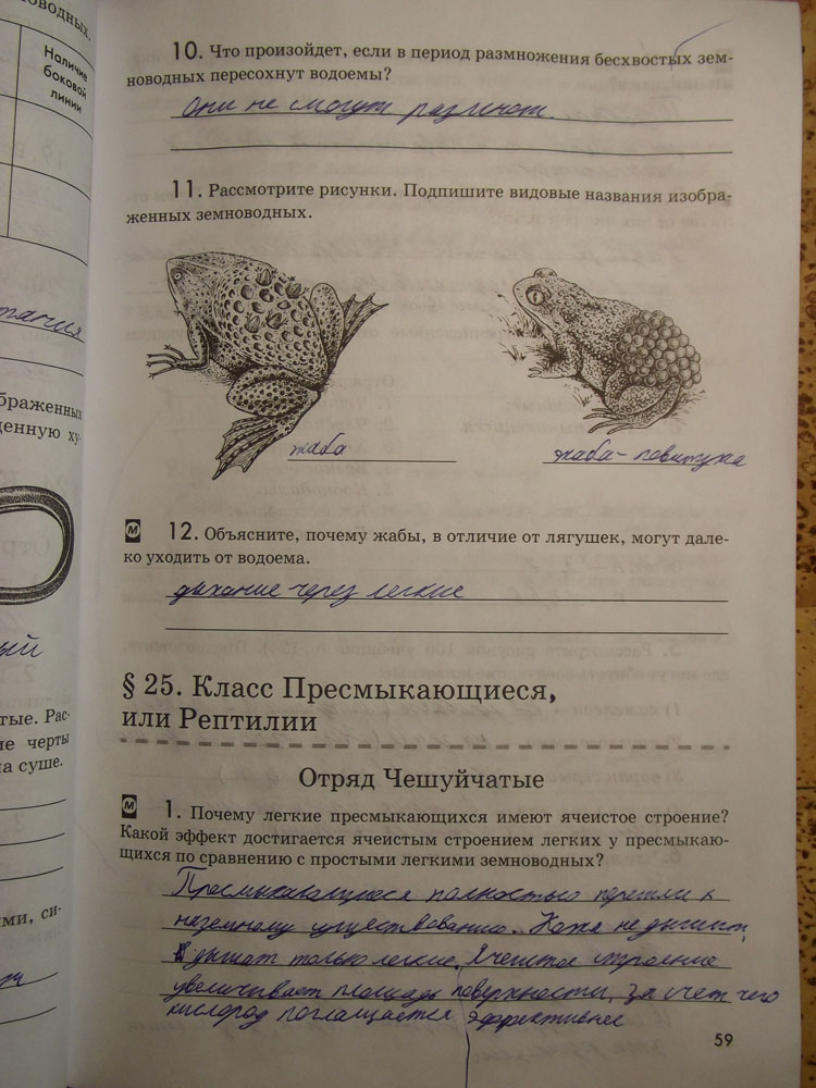 Рабочая тетрадь. Животные, 7 класс, Латюшин, Ламехова, Шапкин, 2016, задача: стр. 59