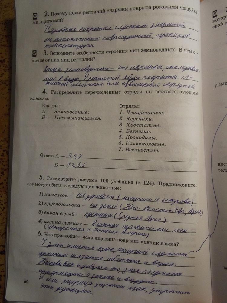 Рабочая тетрадь. Животные, 7 класс, Латюшин, Ламехова, Шапкин, 2016, задача: стр. 60