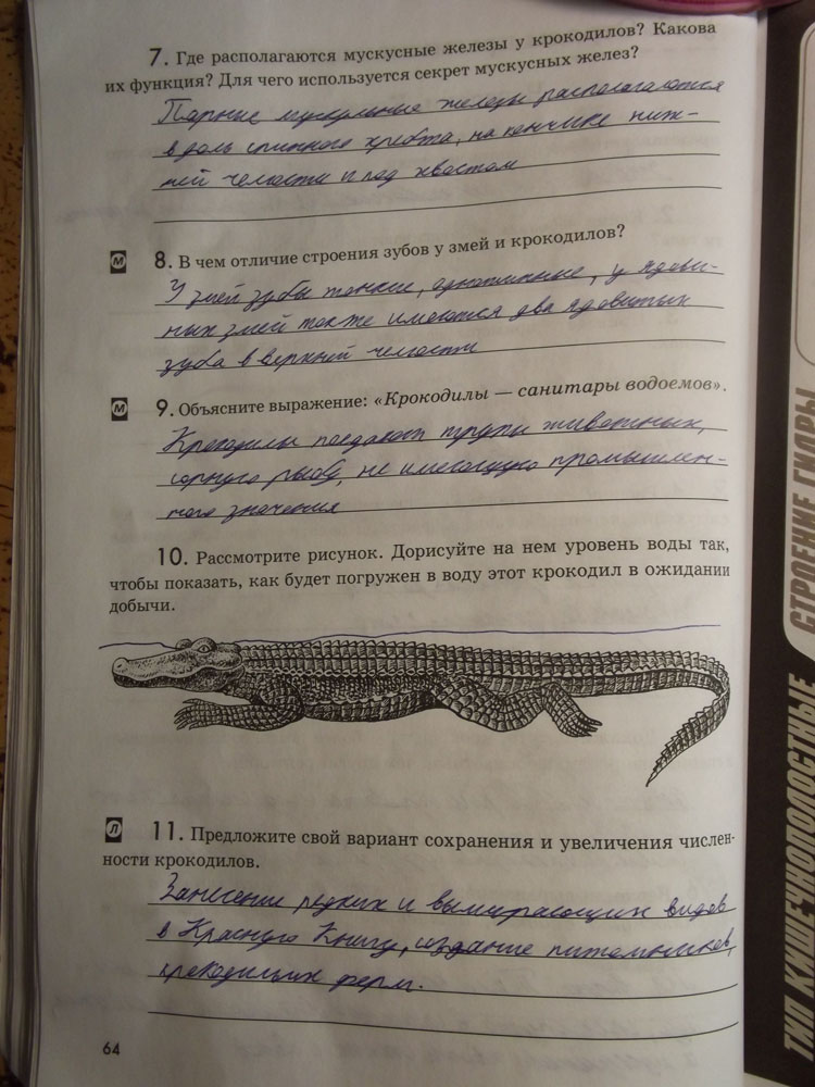 Рабочая тетрадь. Животные, 7 класс, Латюшин, Ламехова, Шапкин, 2016, задача: стр. 64