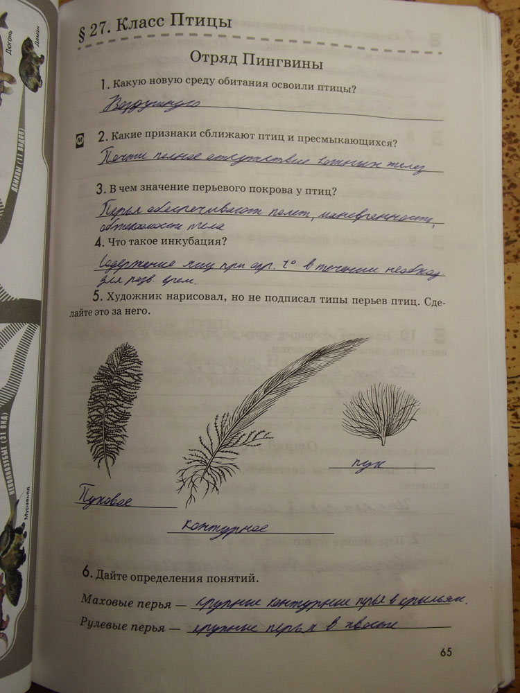 Рабочая тетрадь. Животные, 7 класс, Латюшин, Ламехова, Шапкин, 2016, задача: стр. 65