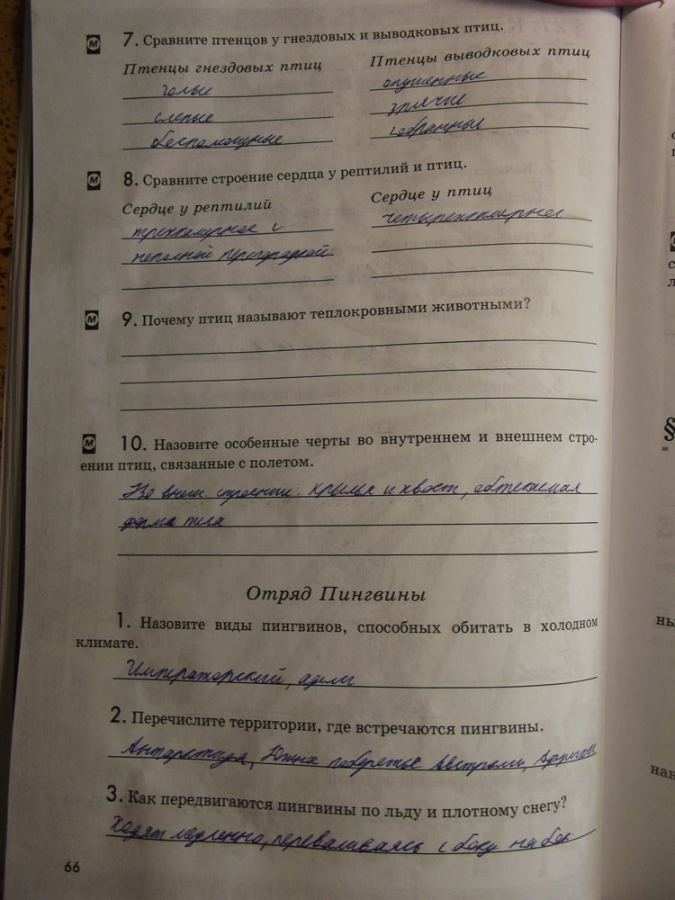 Рабочая тетрадь. Животные, 7 класс, Латюшин, Ламехова, Шапкин, 2016, задача: стр. 66