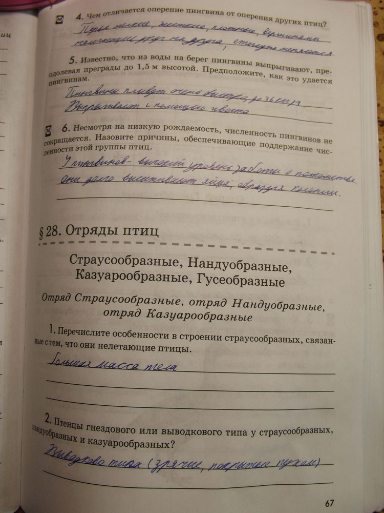 Рабочая тетрадь. Животные, 7 класс, Латюшин, Ламехова, Шапкин, 2016, задача: стр. 67