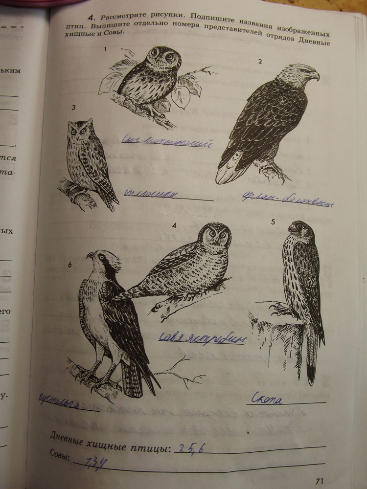 Рабочая тетрадь. Животные, 7 класс, Латюшин, Ламехова, Шапкин, 2016, задача: стр. 71
