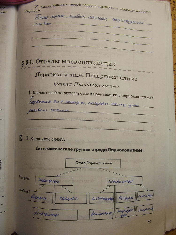 Рабочая тетрадь. Животные, 7 класс, Латюшин, Ламехова, Шапкин, 2016, задача: стр. 91