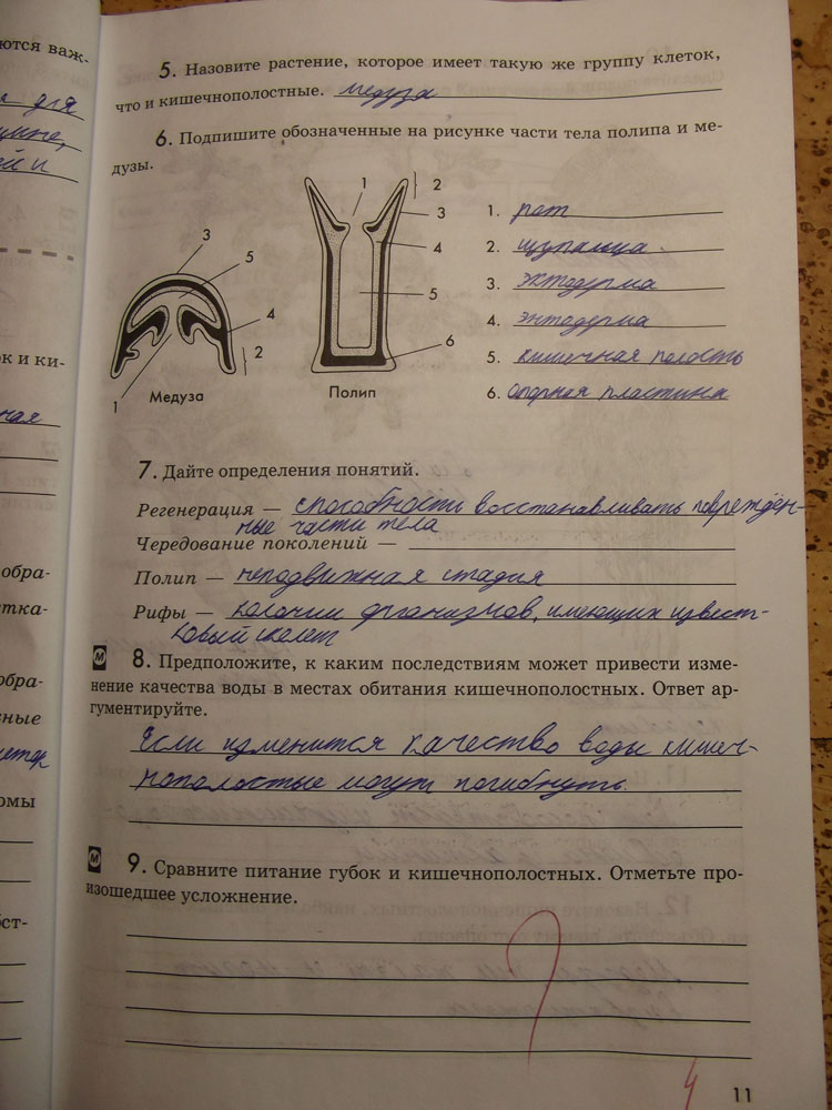 Рабочая тетрадь. Животные, 7 класс, Латюшин, Ламехова, Шапкин, 2016, задача: стр. 11