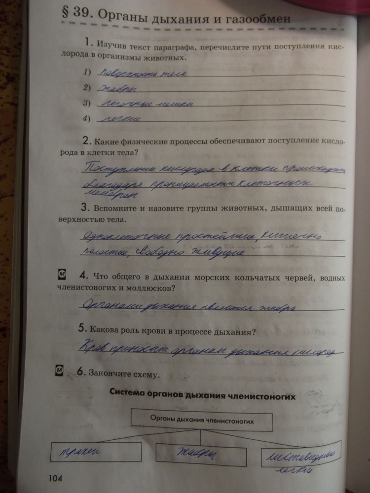 Рабочая тетрадь. Животные, 7 класс, Латюшин, Ламехова, Шапкин, 2016, задача: стр. 104