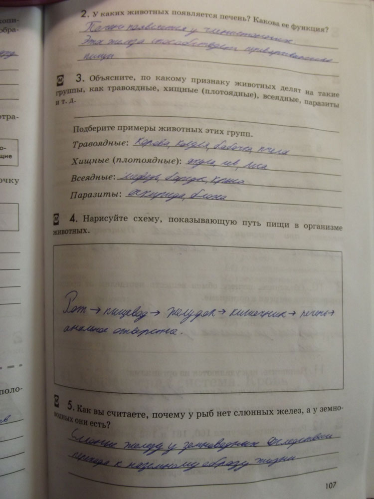Рабочая тетрадь. Животные, 7 класс, Латюшин, Ламехова, Шапкин, 2016, задача: стр. 107