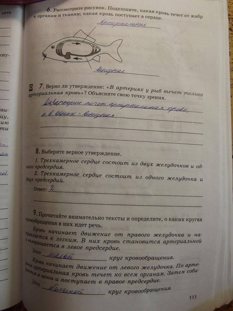 Рабочая тетрадь. Животные, 7 класс, Латюшин, Ламехова, Шапкин, 2016, задача: стр. 111