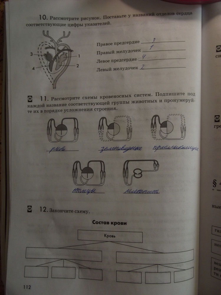 Рабочая тетрадь. Животные, 7 класс, Латюшин, Ламехова, Шапкин, 2016, задача: стр. 112