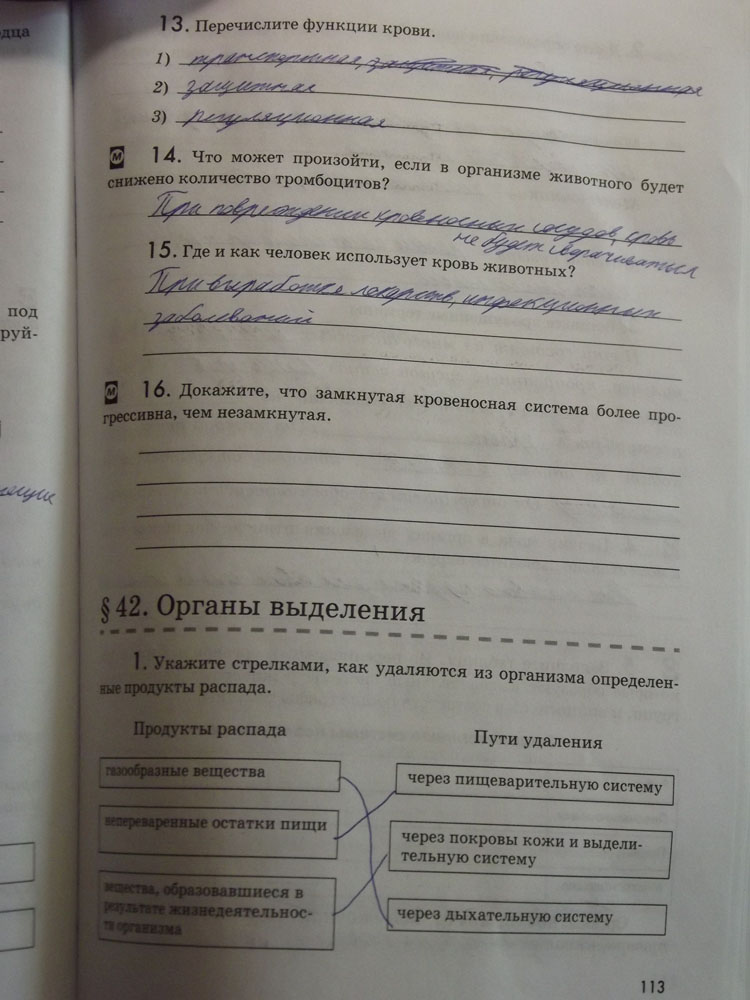 Рабочая тетрадь. Животные, 7 класс, Латюшин, Ламехова, Шапкин, 2016, задача: стр. 113