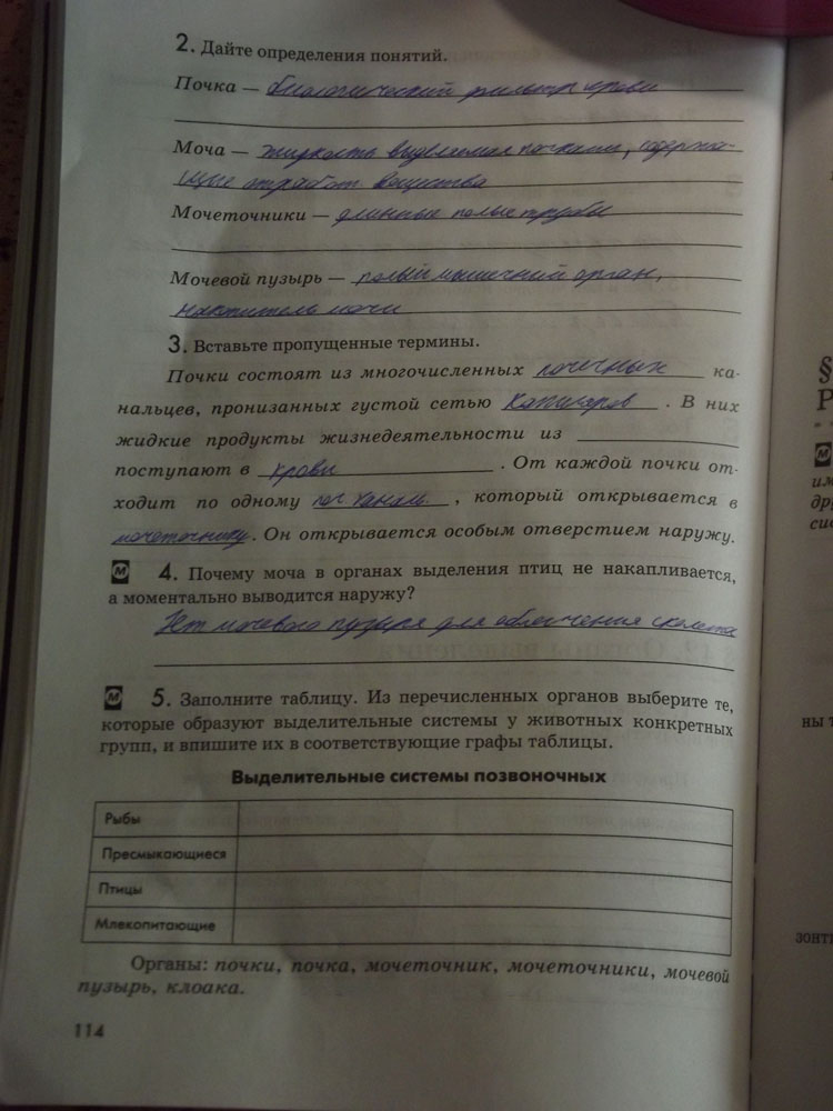 Рабочая тетрадь. Животные, 7 класс, Латюшин, Ламехова, Шапкин, 2016, задача: стр. 114