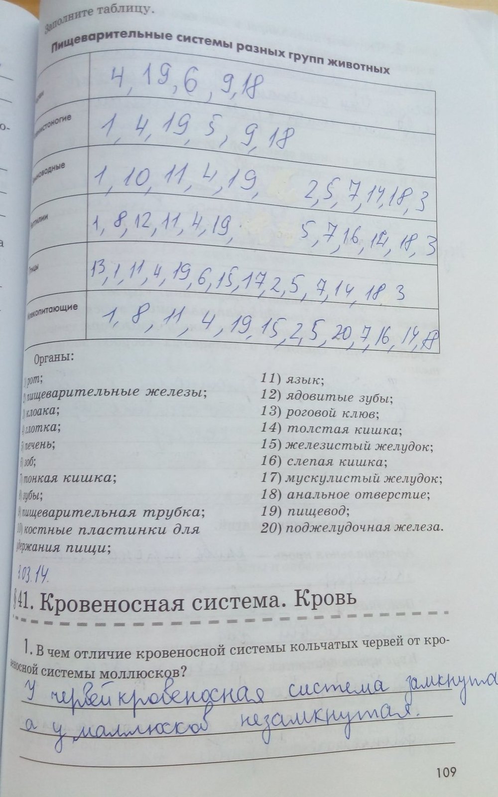 Рабочая тетрадь. Животные, 7 класс, Латюшин В. В., Ламехова Е. А., 2011, задание: стр. 109