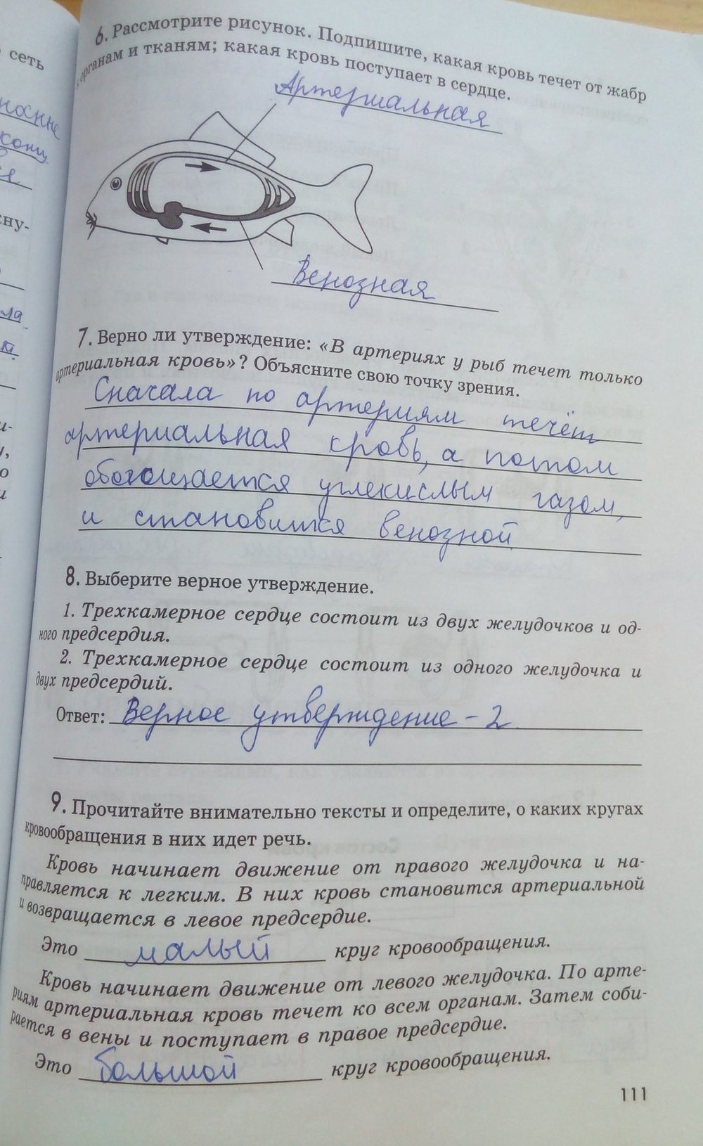Рабочая тетрадь. Животные, 7 класс, Латюшин В. В., Ламехова Е. А., 2011, задание: стр. 111