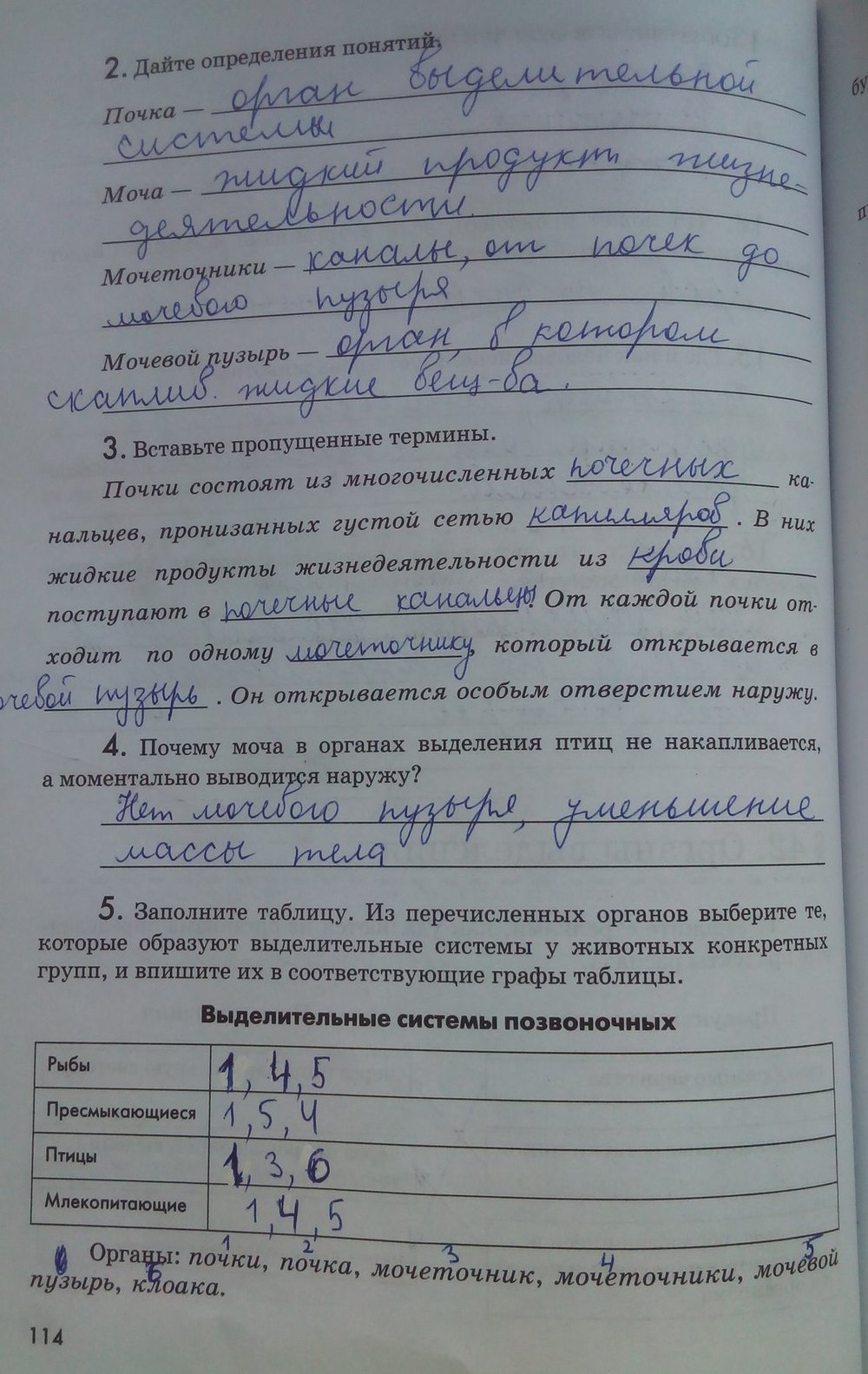 Рабочая тетрадь. Животные, 7 класс, Латюшин В. В., Ламехова Е. А., 2011, задание: стр. 114