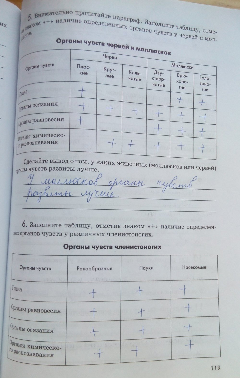 Рабочая тетрадь. Животные, 7 класс, Латюшин В. В., Ламехова Е. А., 2011, задание: стр. 119