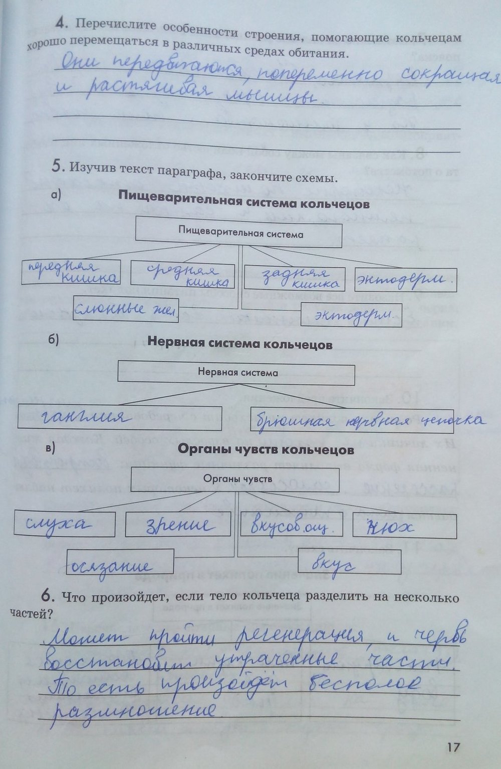 Рабочая тетрадь. Животные, 7 класс, Латюшин В. В., Ламехова Е. А., 2011, задание: стр. 17