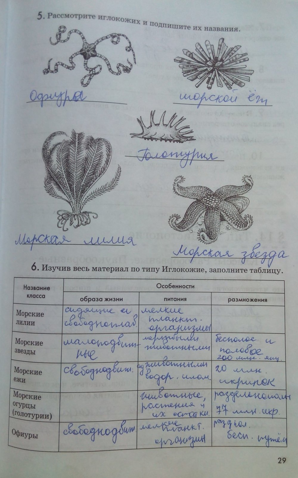 Рабочая тетрадь. Животные, 7 класс, Латюшин В. В., Ламехова Е. А., 2011, задание: стр. 29