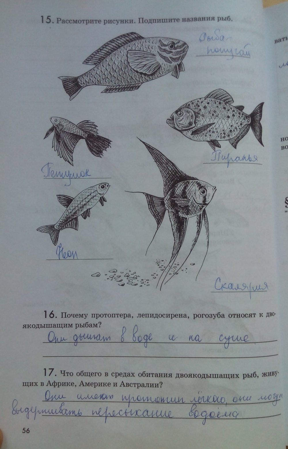 Рабочая тетрадь. Животные, 7 класс, Латюшин В. В., Ламехова Е. А., 2011, задание: стр. 56