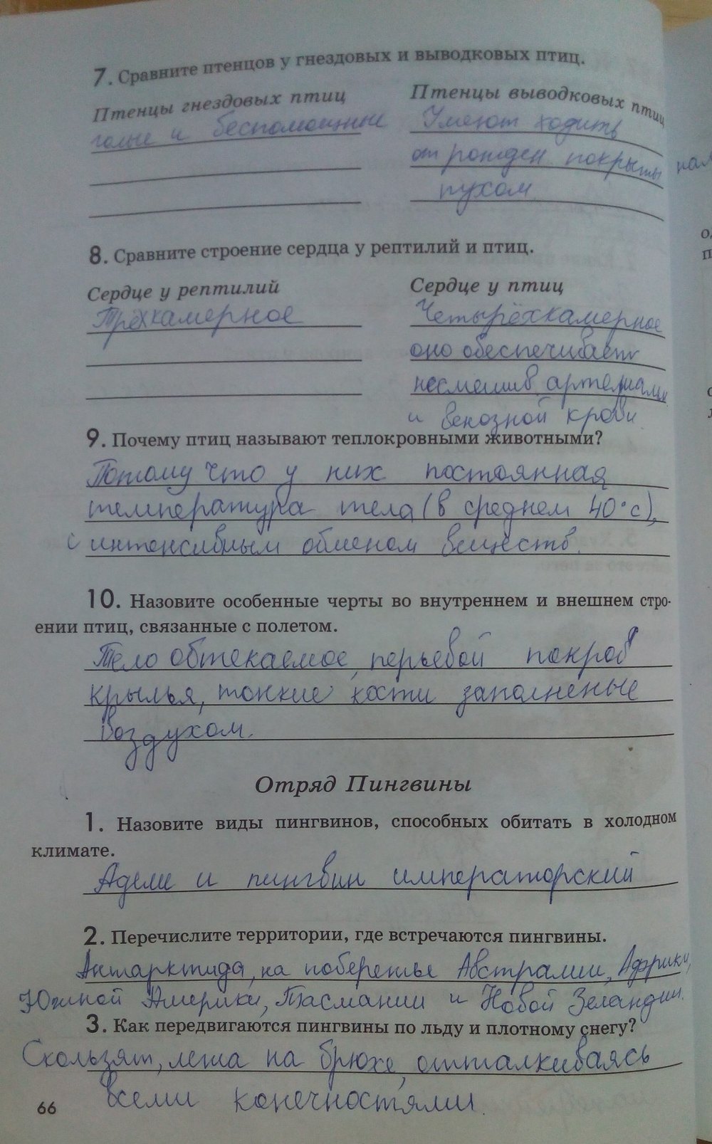 Рабочая тетрадь. Животные, 7 класс, Латюшин В. В., Ламехова Е. А., 2011, задание: стр. 66
