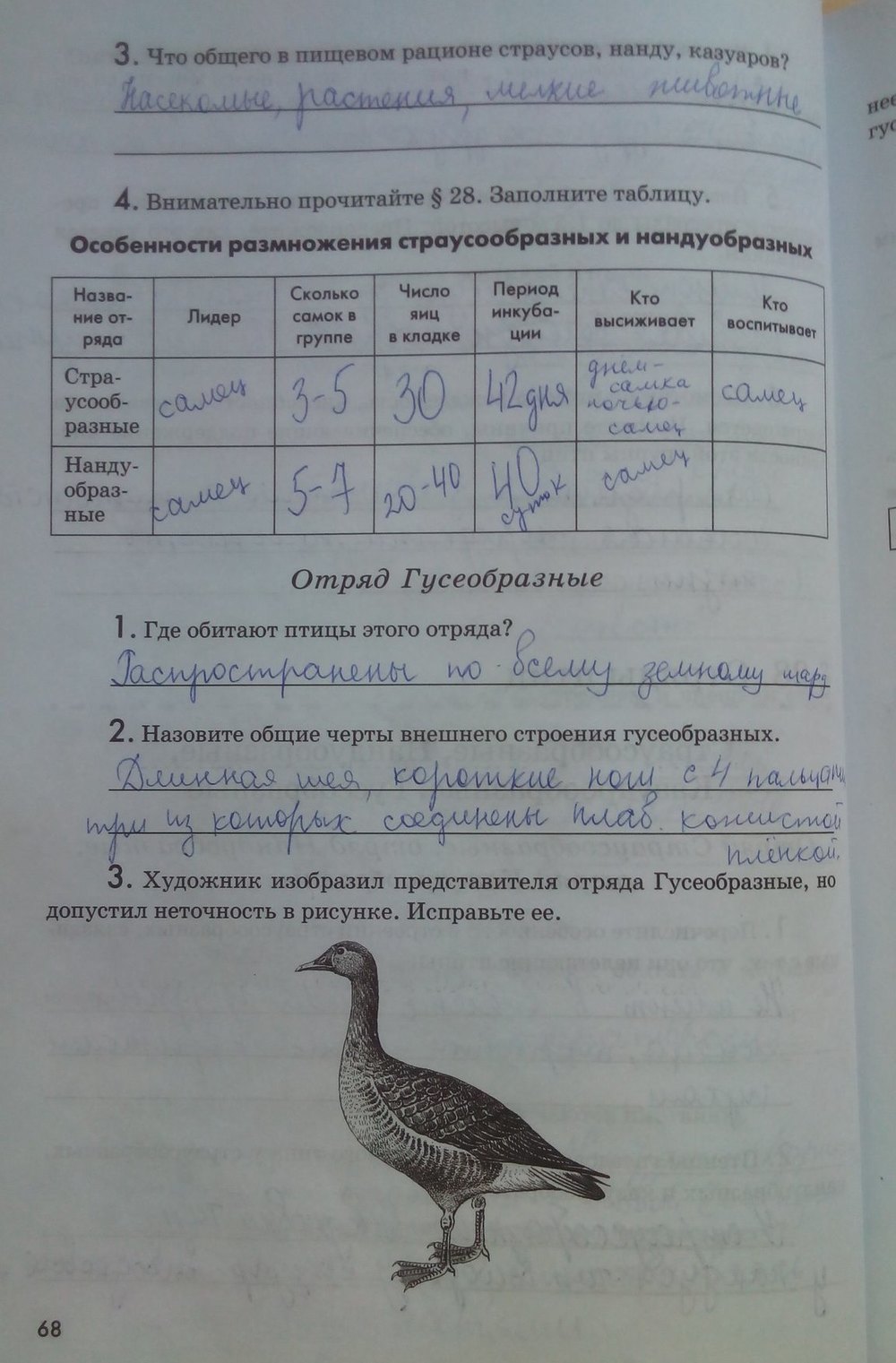 Рабочая тетрадь. Животные, 7 класс, Латюшин В. В., Ламехова Е. А., 2011, задание: стр. 68