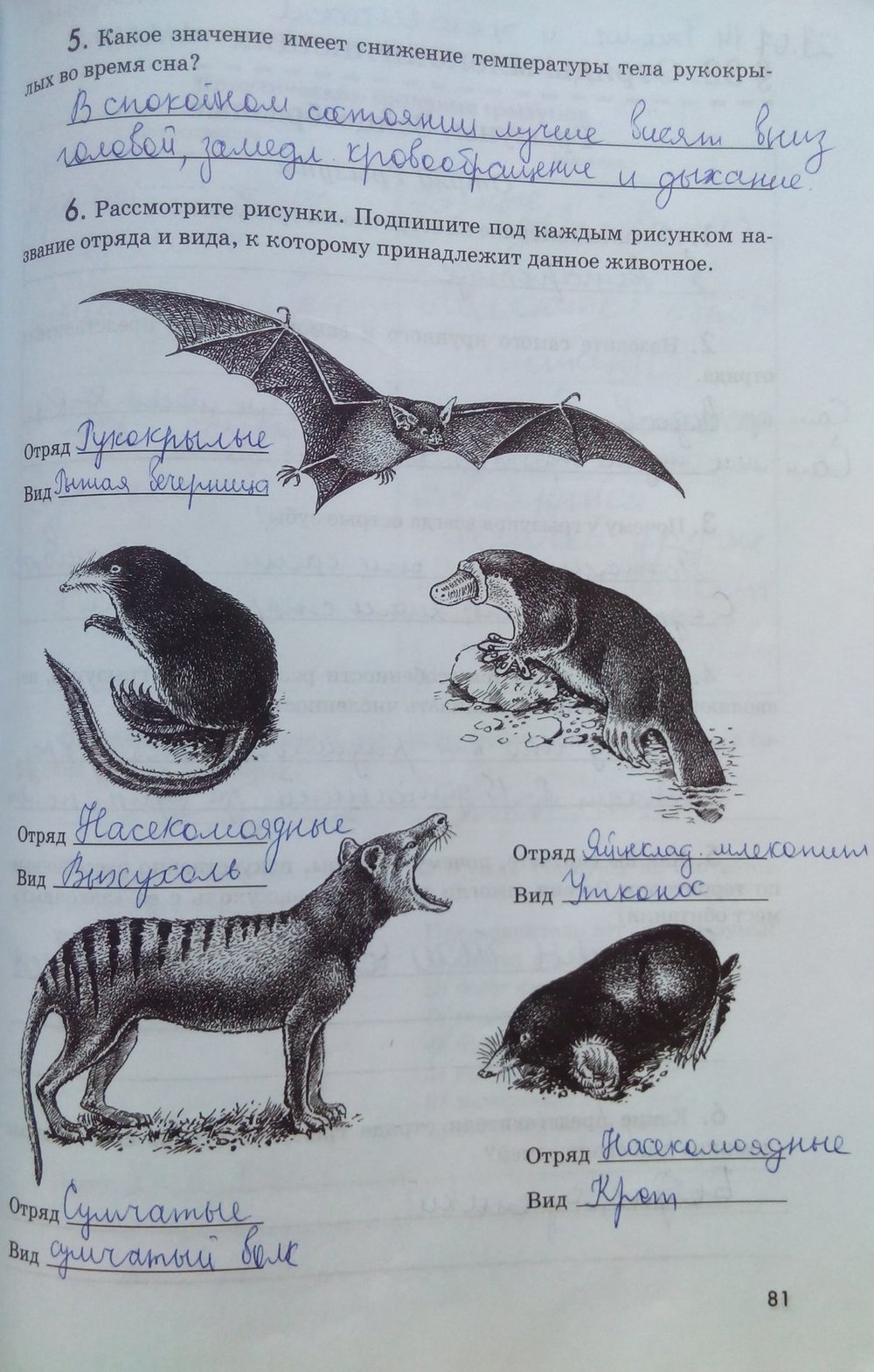 Рабочая тетрадь. Животные, 7 класс, Латюшин В. В., Ламехова Е. А., 2011, задание: стр. 81