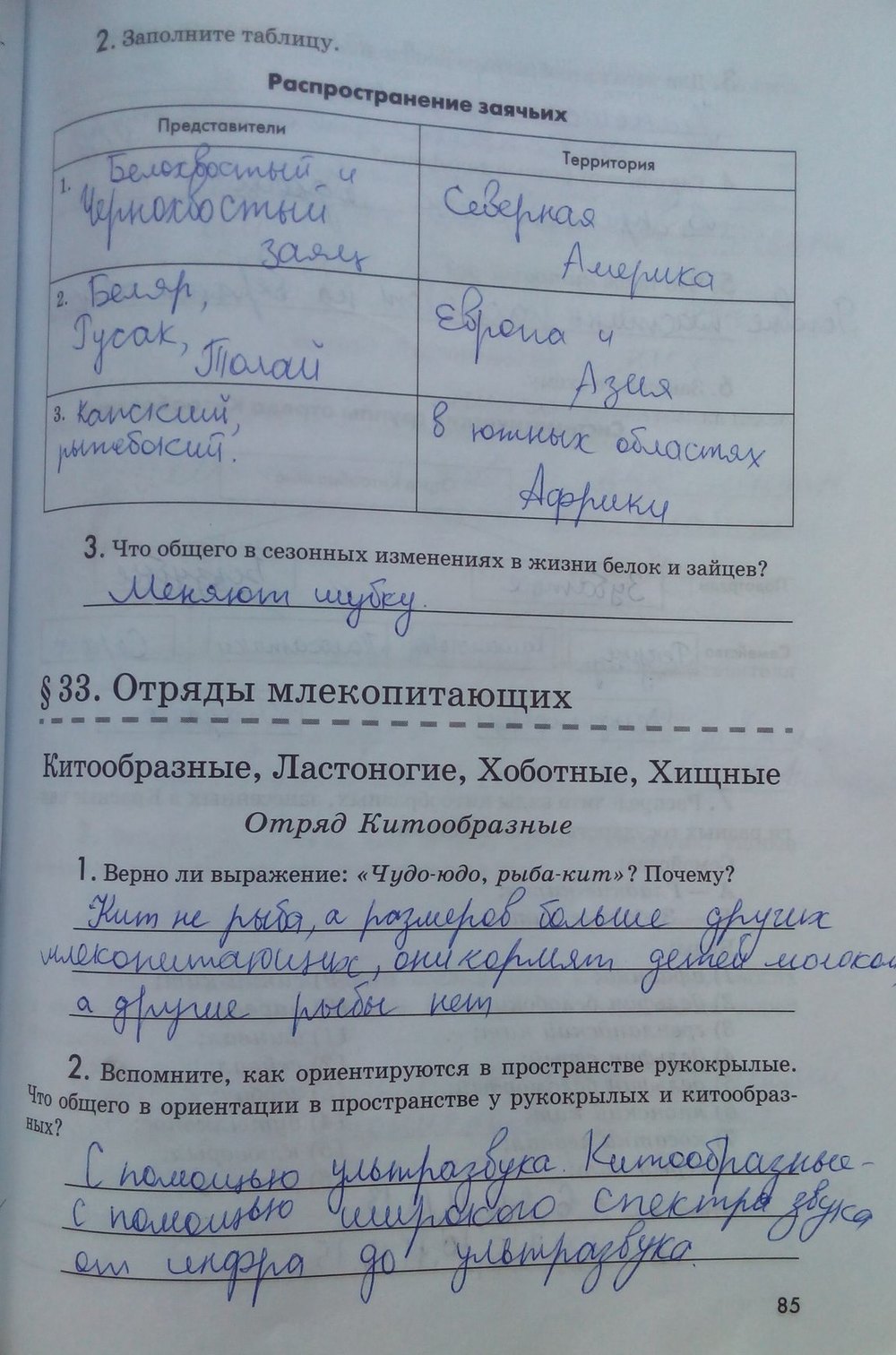 Рабочая тетрадь. Животные, 7 класс, Латюшин В. В., Ламехова Е. А., 2011, задание: стр. 85