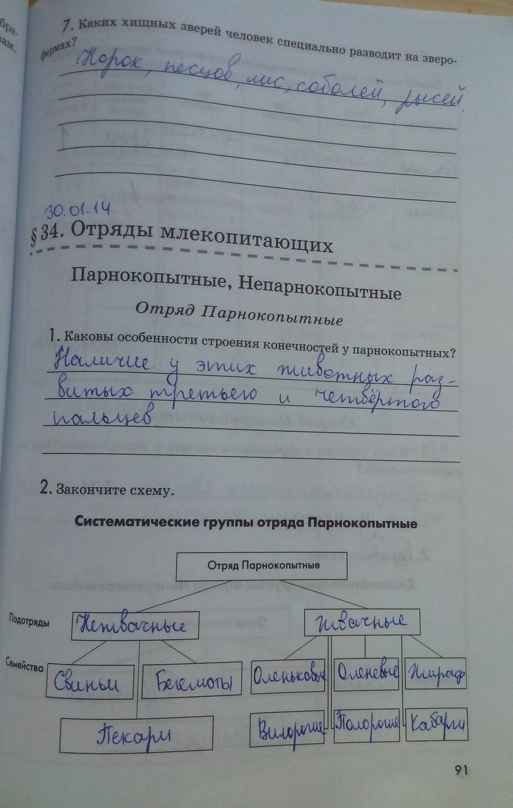 Рабочая тетрадь. Животные, 7 класс, Латюшин В. В., Ламехова Е. А., 2011, задание: стр. 91