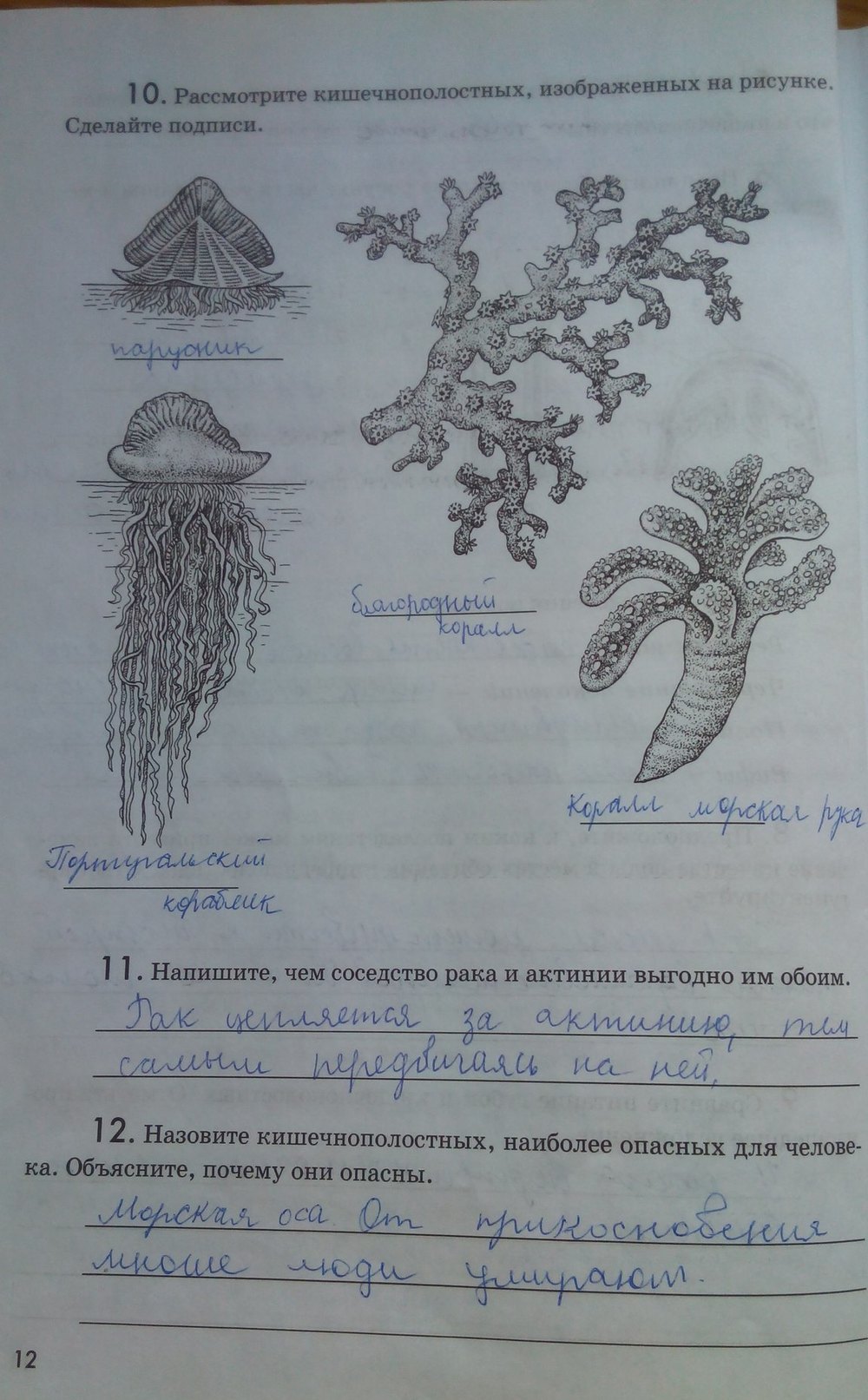 Рабочая тетрадь. Животные, 7 класс, Латюшин В. В., Ламехова Е. А., 2011, задание: стр. 12