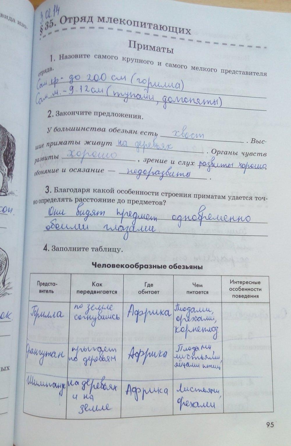 Рабочая тетрадь. Животные, 7 класс, Латюшин В. В., Ламехова Е. А., 2011, задание: стр. 95