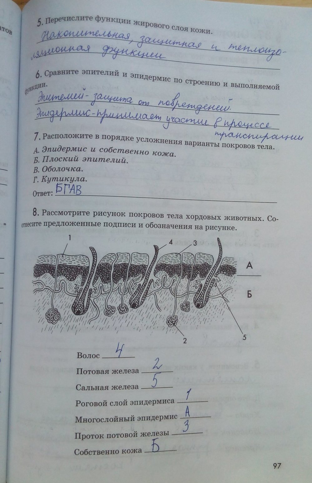 Рабочая тетрадь. Животные, 7 класс, Латюшин В. В., Ламехова Е. А., 2011, задание: стр. 97