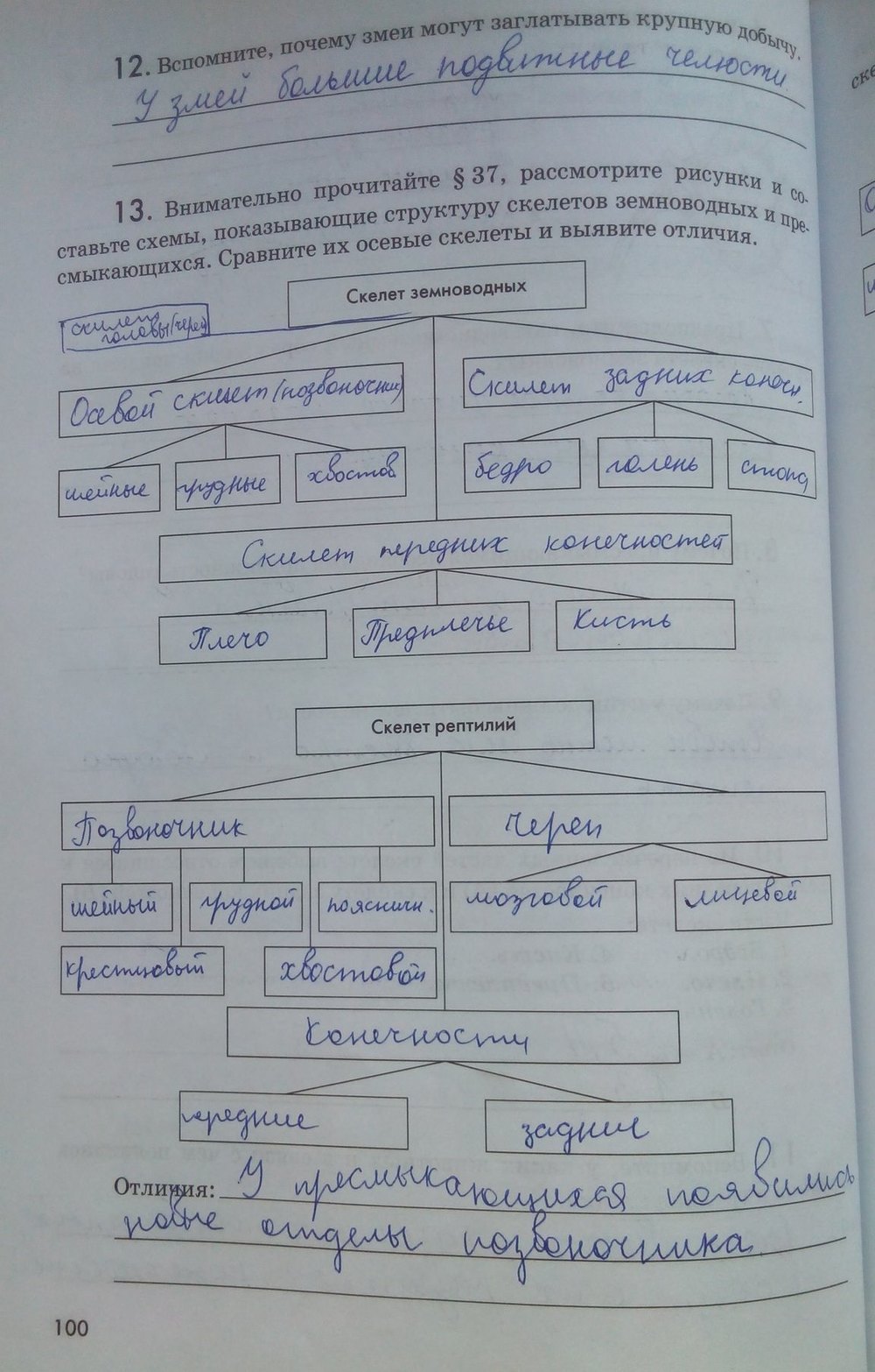 Рабочая тетрадь. Животные, 7 класс, Латюшин В. В., Ламехова Е. А., 2011, задание: стр. 100