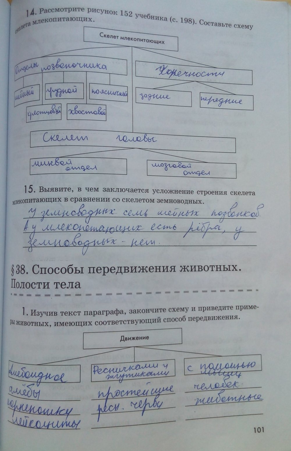 Рабочая тетрадь. Животные, 7 класс, Латюшин В. В., Ламехова Е. А., 2011, задание: стр. 101