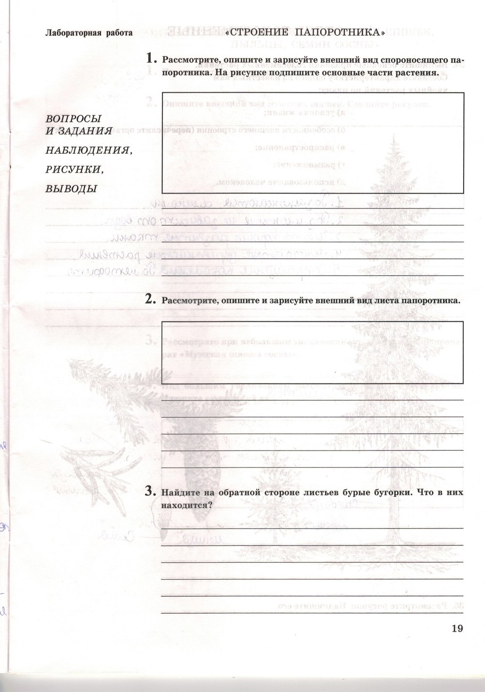 Рабочая тетрадь. Многообразие живых организмов, 7 класс, Захаров В.Б., Сонин Н.И., 2006, задание: стр. 19