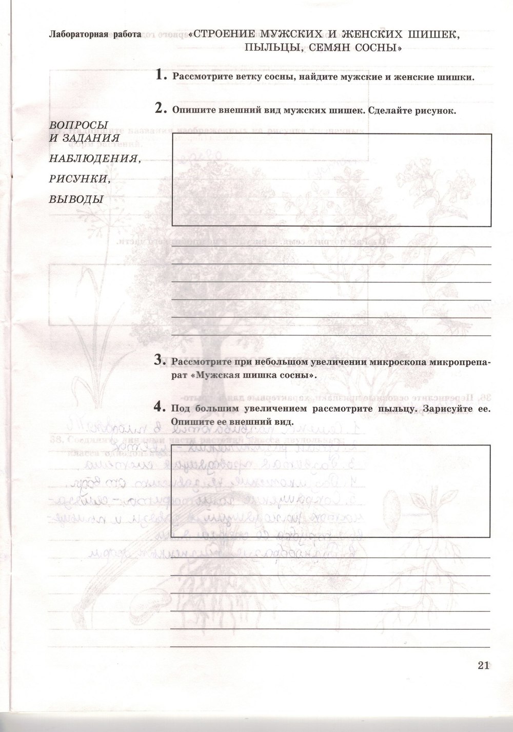 Рабочая тетрадь. Многообразие живых организмов, 7 класс, Захаров В.Б., Сонин Н.И., 2006, задание: стр. 21