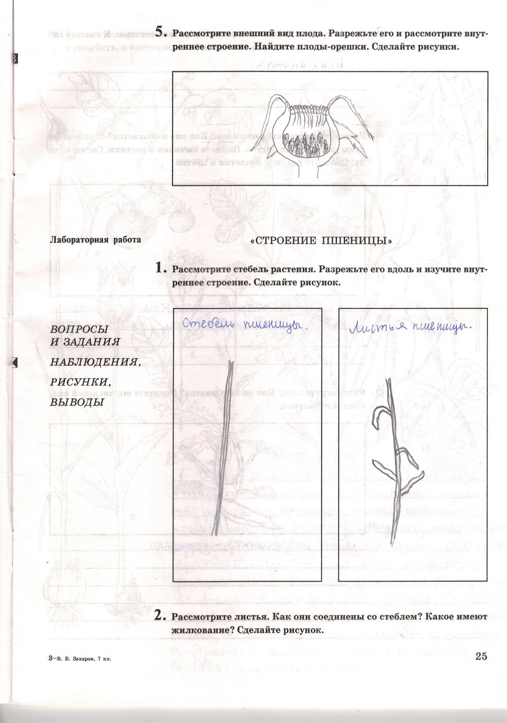Рабочая тетрадь. Многообразие живых организмов, 7 класс, Захаров В.Б., Сонин Н.И., 2006, задание: стр. 25