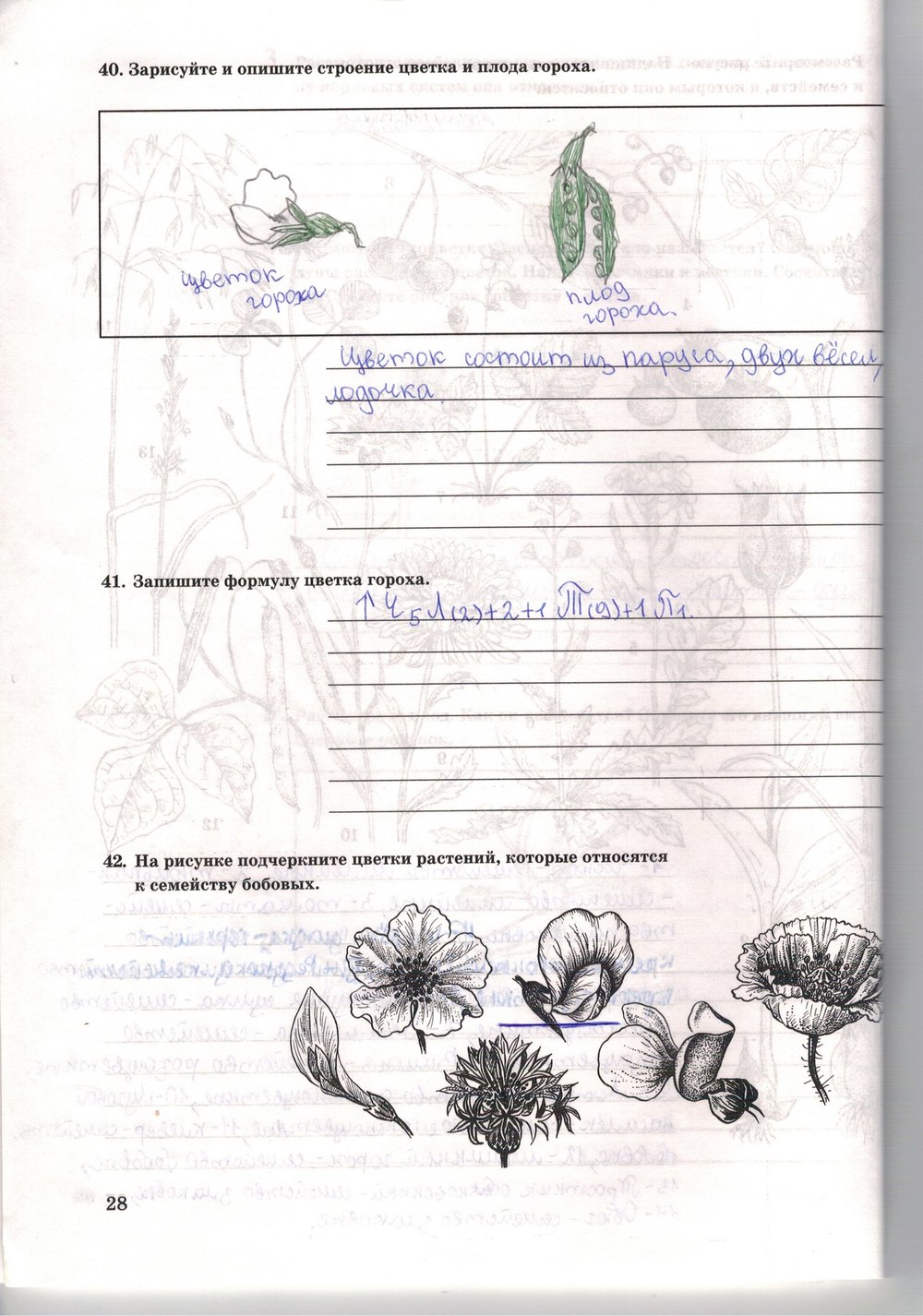 Рабочая тетрадь. Многообразие живых организмов, 7 класс, Захаров В.Б., Сонин Н.И., 2006, задание: стр. 28